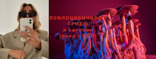 ECSTASY Горнозаводск