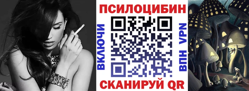 Псилоцибиновые грибы Psilocybine cubensis  Купить где  Хотьково 